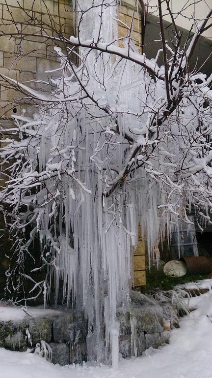 El Achkar Guesthouse Beit ed Dine Bagian luar foto