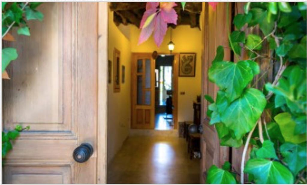 El Achkar Guesthouse Beit ed Dine Bagian luar foto
